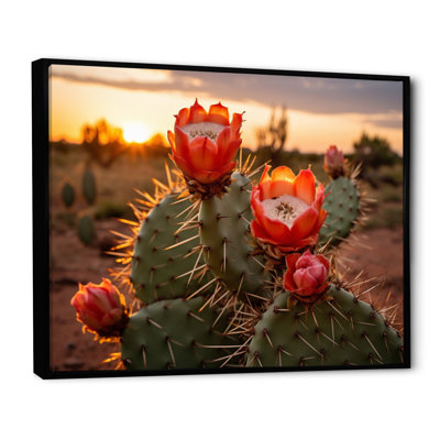 Champ de cactus rouge et vert avec coucher de soleil II - impression