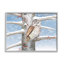 «Snowy Birch Tree Owl» encadré sur bois par Caro Windmuller, impression