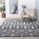 Athens Performance Indoor Rug