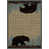 Rectangle 2'3" x 3'3" selected