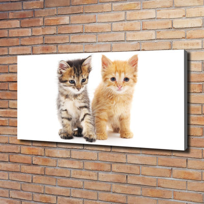 Brown And Red Cat - Wrapped Canvas Print