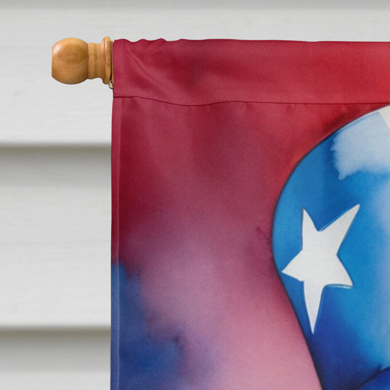 Drapeau patriotique de la maison américaine, Épagneul d'eau américain