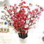 Tige de cerisier en fleurs-1625847141