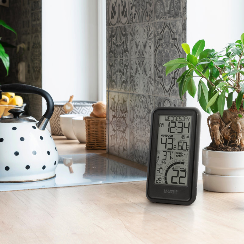 Wind Speed Weather Station with Wind Sensor