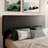 Avel Simple Rectangular Upholstered Platform bed-2041417458-2039801691