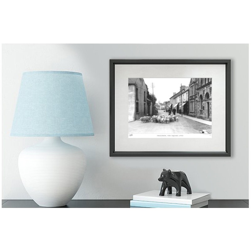Tregaron, The Square C1955 by Francis Frith - Single Picture Frame Print, 45cm H x 60cm W x 2.3cm D