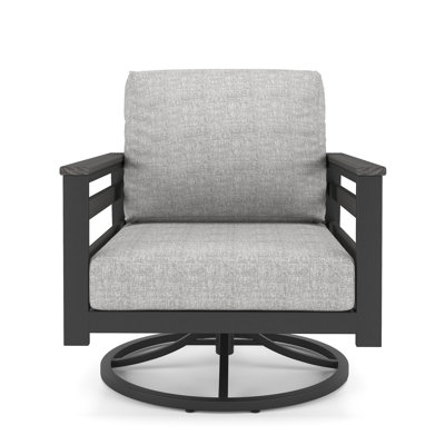 Townsend Metal Outdoor Swivel Rocking Chair with Sunbrella Cushion by Birch Lane