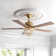 Amboise 52'' Ceiling Fan with Light Kit