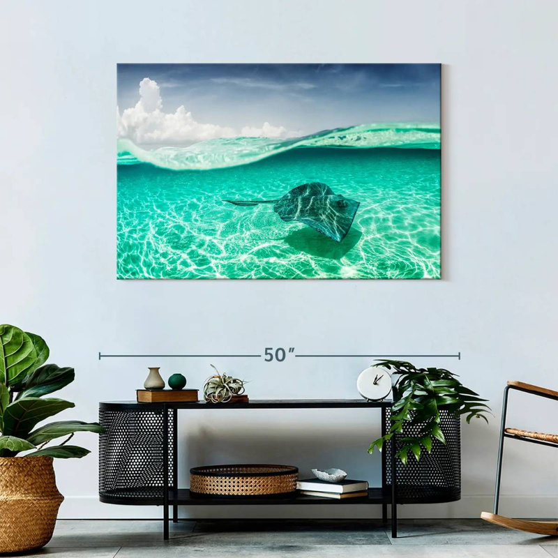 Brama Manta Ray sous l'eau
