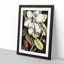A Laurel Magnolia Tree by Mark Catesby - Picture Frame Painting Print on MDF-55629780-55629781
