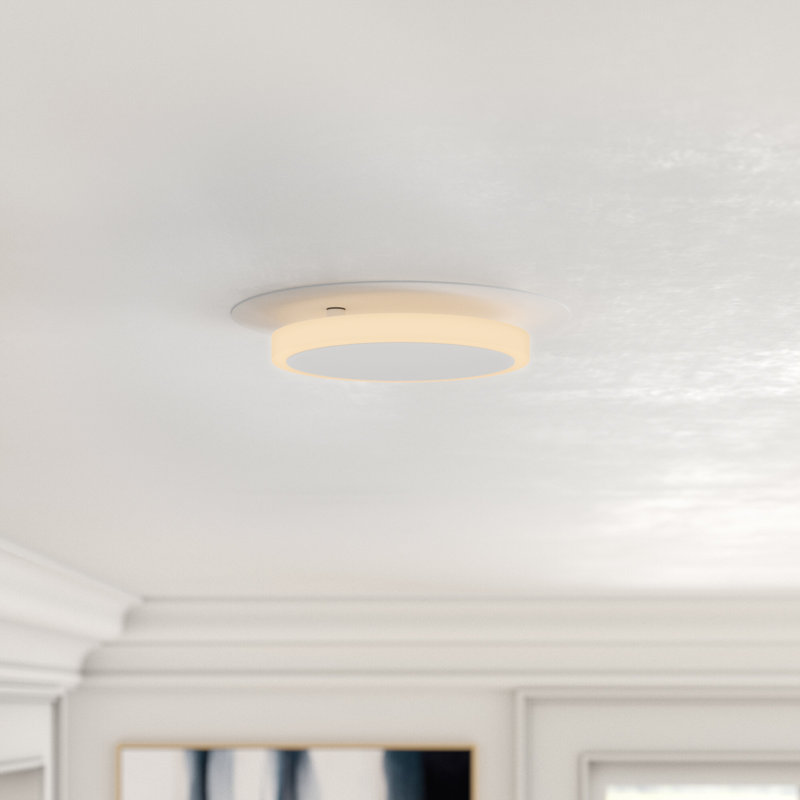 Aunyae Acrylic LED Flush Mount