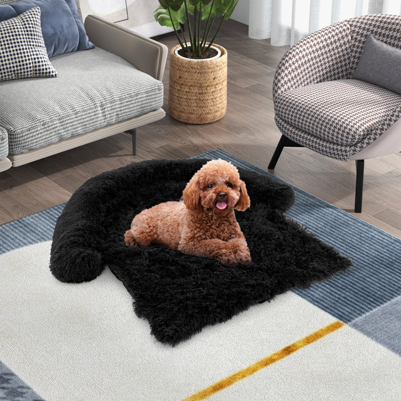 Arrigo Carpet Pet Bed, Black, 16cm H x 101cm W x 89cm D