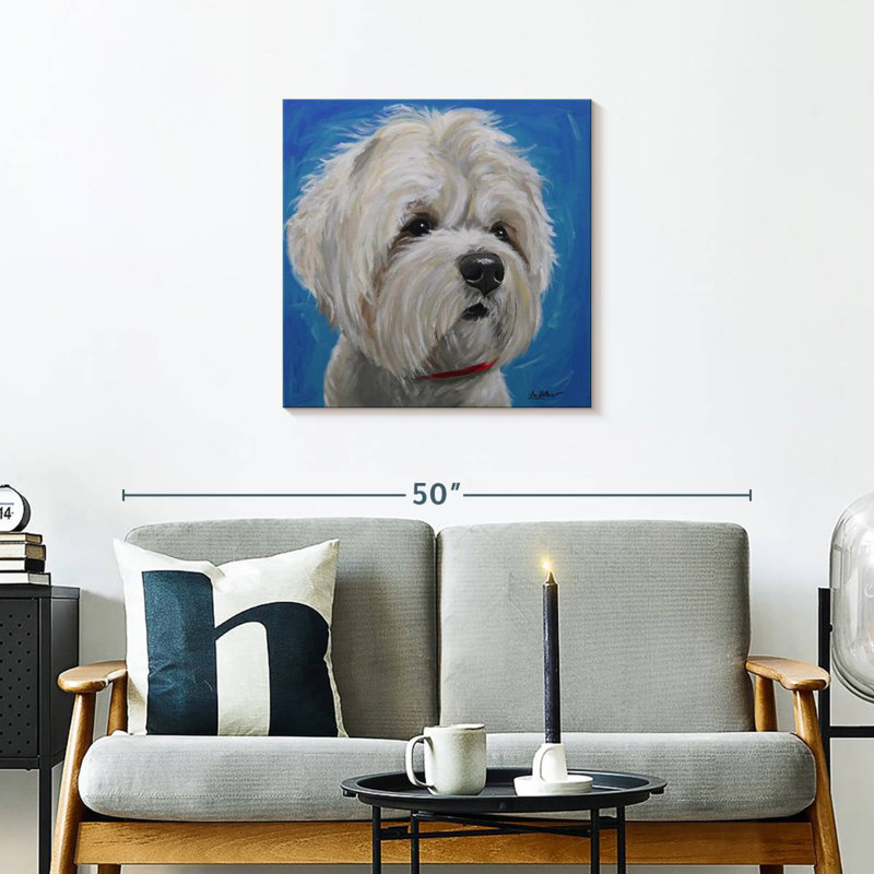 Brampt Maltese Shih Tzu Pipa