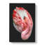 Curled Flamingo - Wrapped Canvas-61848907