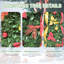 Arbre de Noël escamotable de 6 pi avec 150 lumières blanches chaudes et 66 accessoires de fête, décoration rapide pour les maisons compactes décorant de petits dortoirs