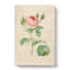 A Pink Rose by Pierre-Joseph Redoute - Wrapped Canvas Painting-55368002
