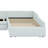 Upholstered Double Daybed With Trundle And Drawer-1937354442