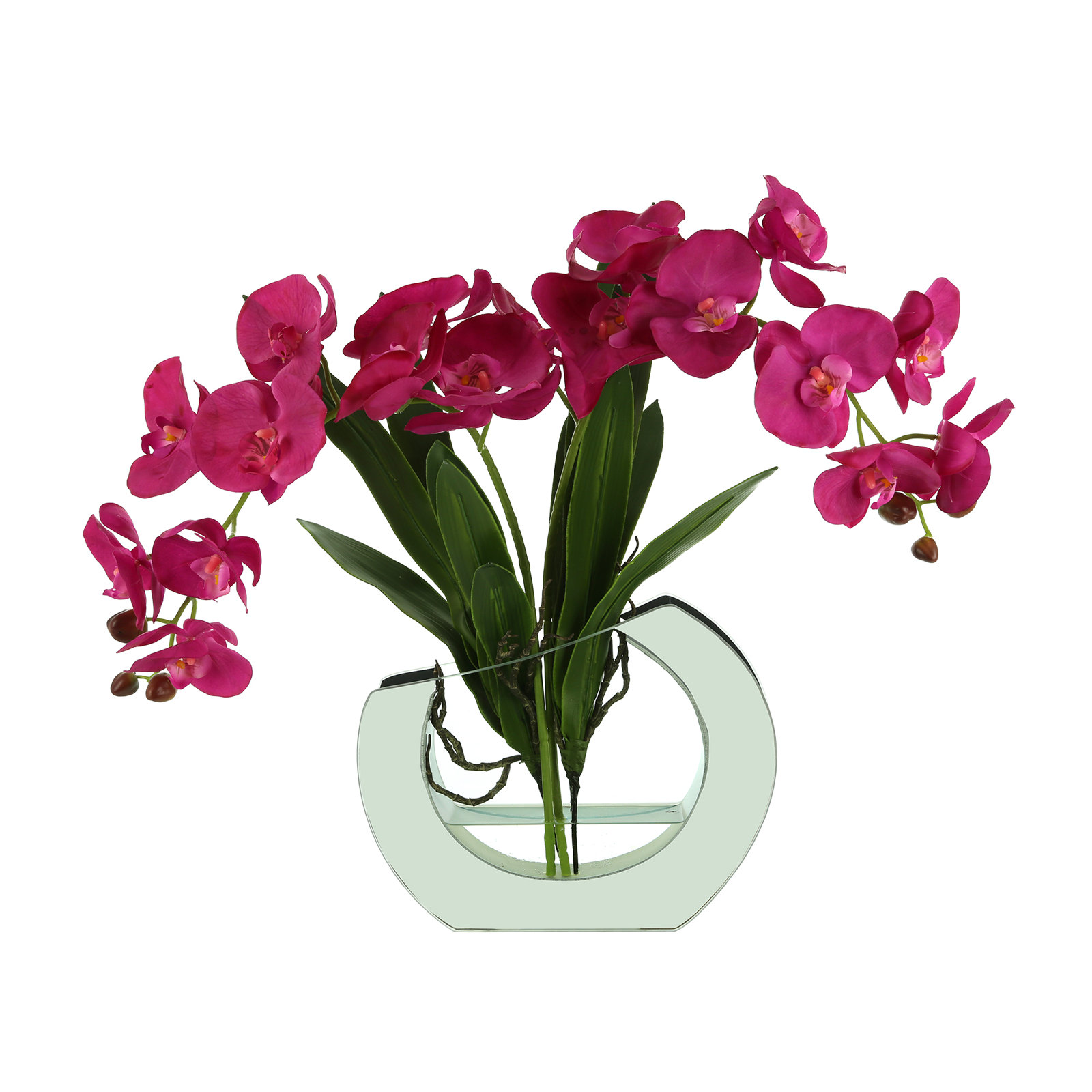 Orchid Floral Arrangement in Vase, Fuchsia