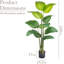 150cm Plant
