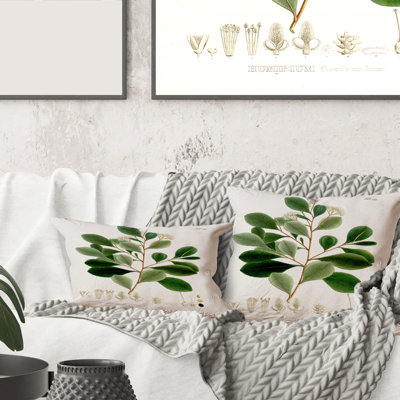 Housse et insert d'oreiller rectangulaire Botanicals IV