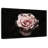 Harnek Pink Carnation Rose