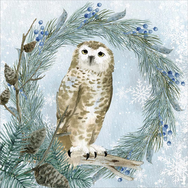«Winter Owl 3» par Kimberly Allen - impression sur toile tendue