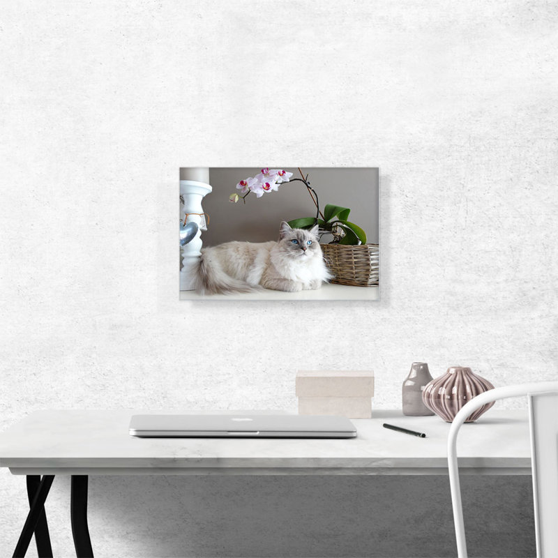 Ragamuffin Home Decor - Reproduction de photo sur toile tendue, H 12 po x l 18 po x 1,5 po