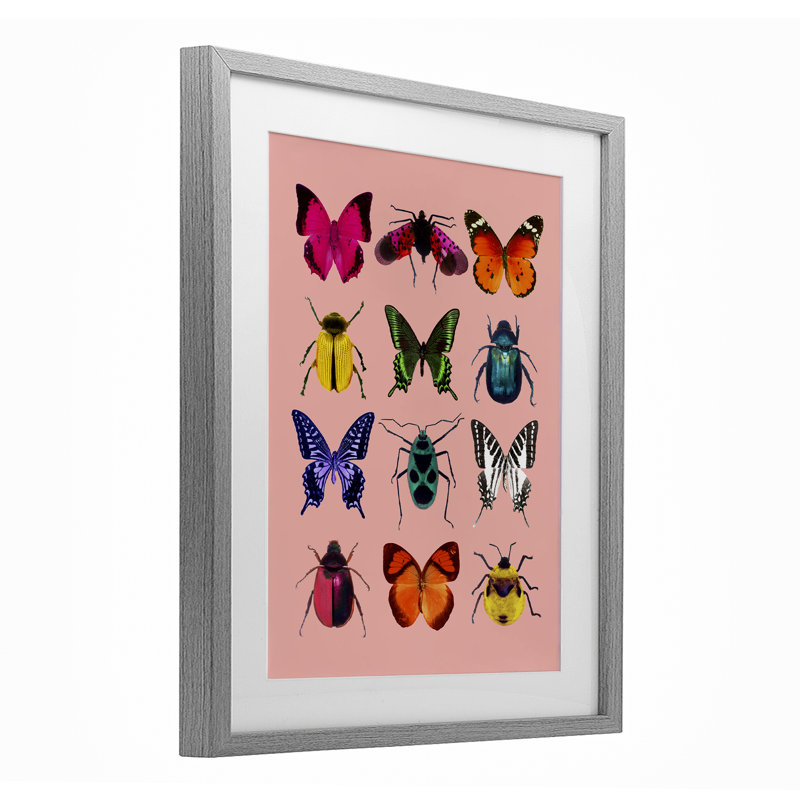 Espèces colorées d'insectes sur une reproduction encadrée sous verre, conception par Lish Creative, H 16 po x l 13 po, Gris