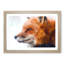 Profile of a Red Fox - Framed Print-56758550-56758548