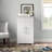 Azizul 12 Pair Shoe Storage Cabinet