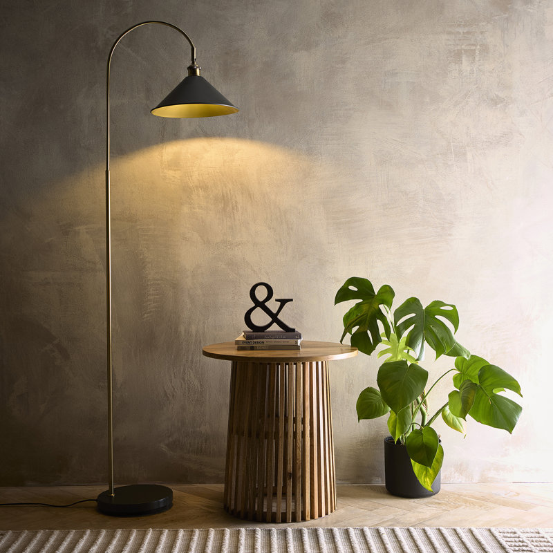 Aidyen 165cm Matte Arched Floor Lamp