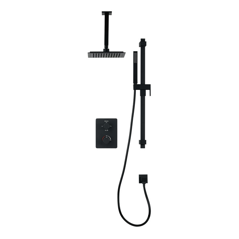 Robinet de douche à double fonction avec valve brute, Noir mat