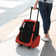 Ebony Collapsible Pet Carrier