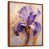 Brown Floater Framed