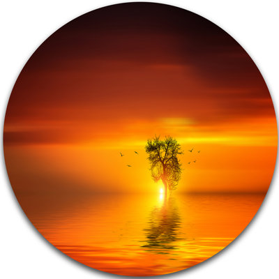 «Wonderful Tree with Birds at Sunset», photographie