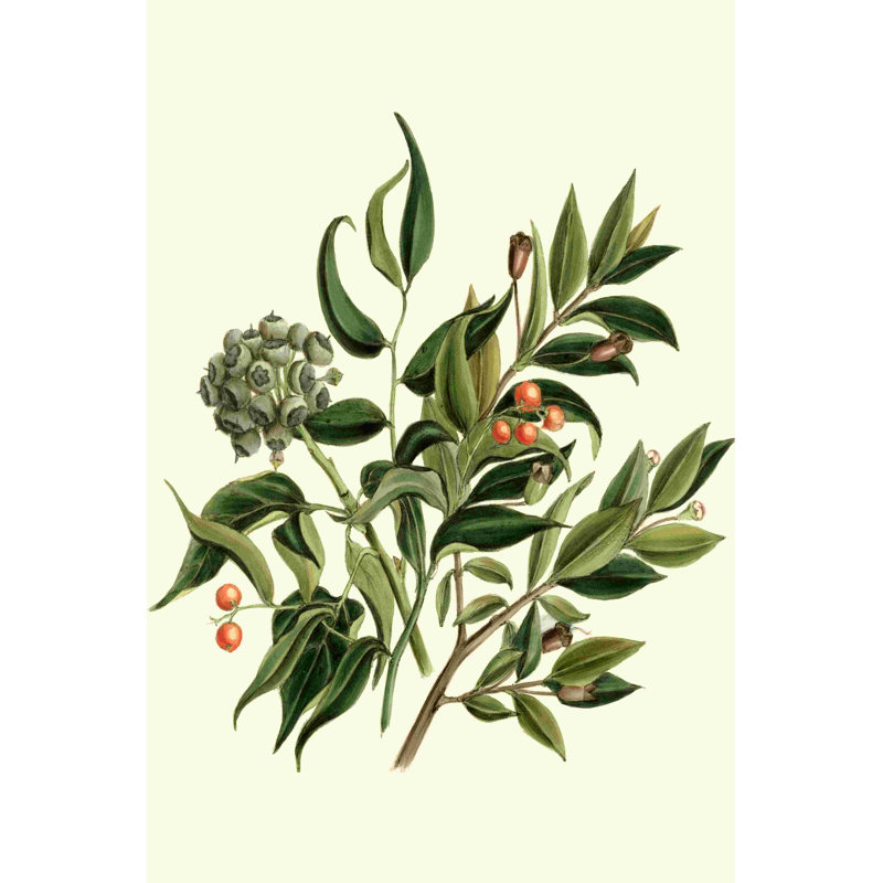 " Laurel Branch " Painting Print, 36" H x 24" W