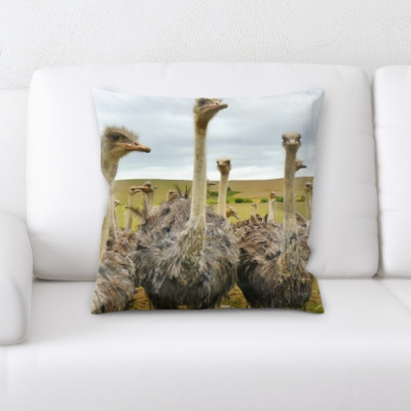 Coussin ostrichs Ventura