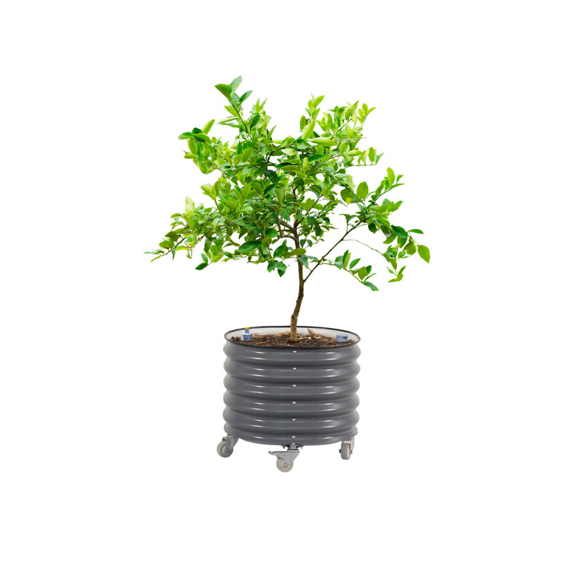 22" Tall 24" Wide Round Metal Outdoor Self-Watering Rolling Tree Planter, Modern Gray