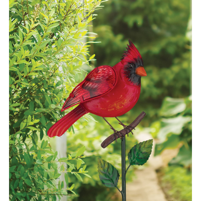 Piquet Songbird - Cardinal