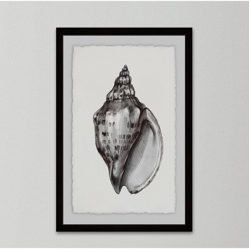«Elegant Look Shell» par Alexandros, reproduction encadrée, H 12 po x l 8 po x P 1,5 po