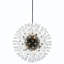 12 - Light Chandelier-1893461861-1917295807