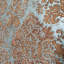 Papier peint imitation damas victorien