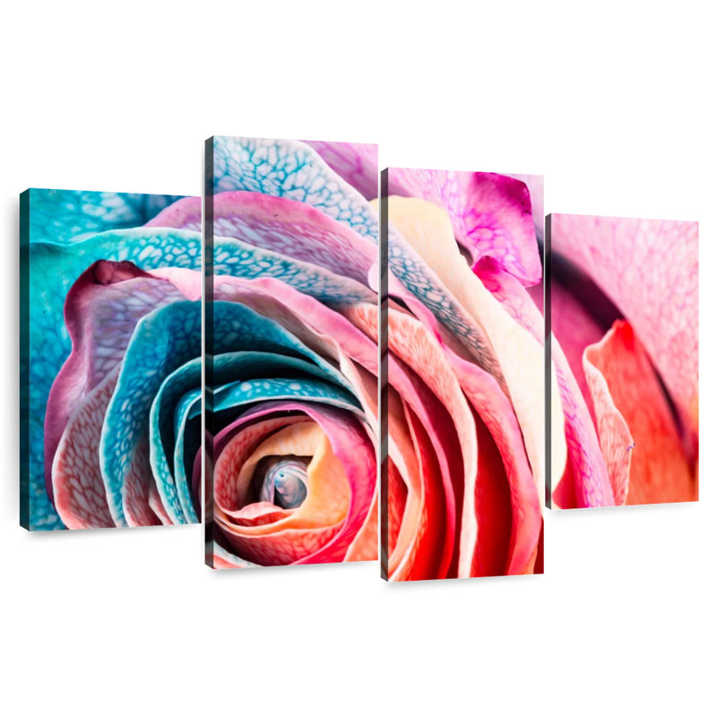 Colorful Rose