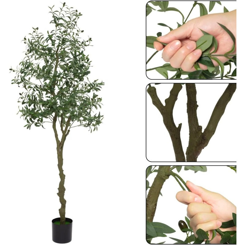 213cm Plant