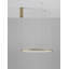 1 - Light Gold LED Novelty Pendant