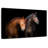 Brampt Horse Duo-106052230