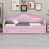 Rose est en rupture de stock