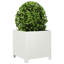 Planter Box-104931244-108202637