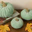 Trio de velours de récolte de citrouille gradué Velveteen S / 3-60515266