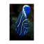 Art sur toile «bolathieu Gabriel empereur angelfish»-109321326